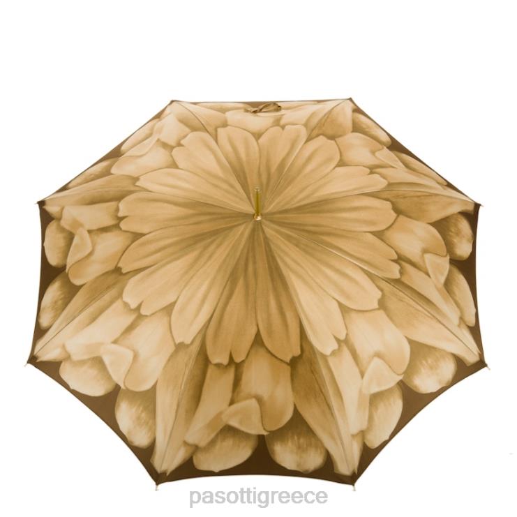 ομπρέλα | PASOTTI 460 21065-40 t9 - ομπρέλα ντάλιας πολυτελείας 2N6B8360 γυναίκες